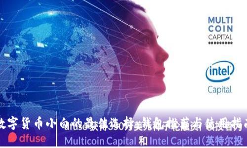 数字货币小白的最佳选择：钱包推荐与使用指南